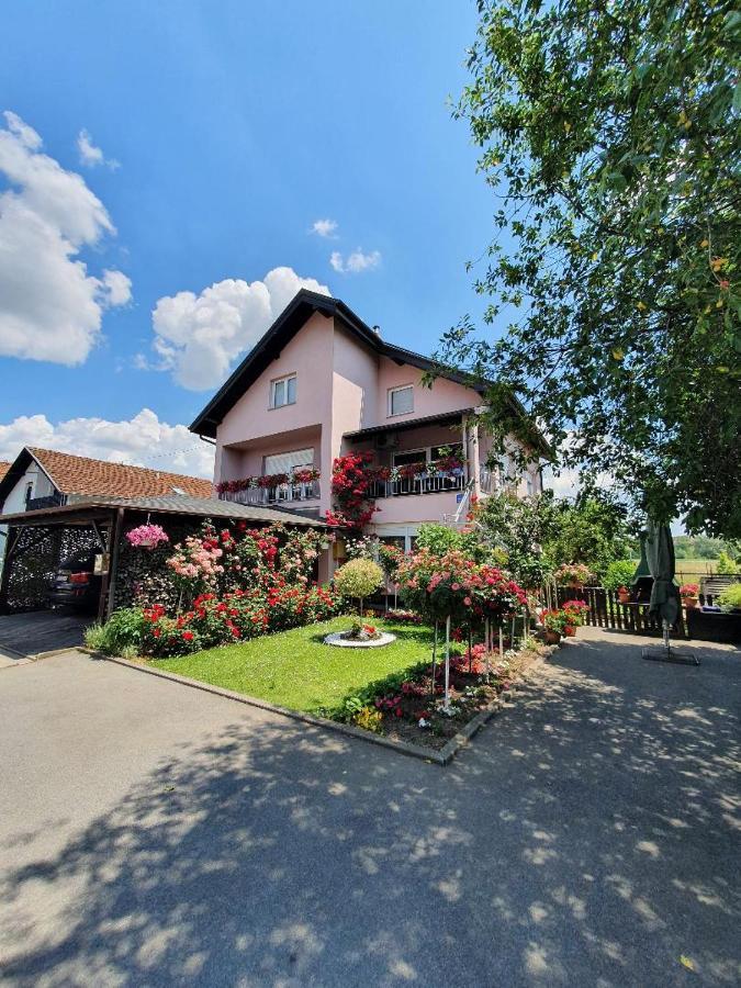 Apartman Vesna Bjelovar Eksteriør bilde