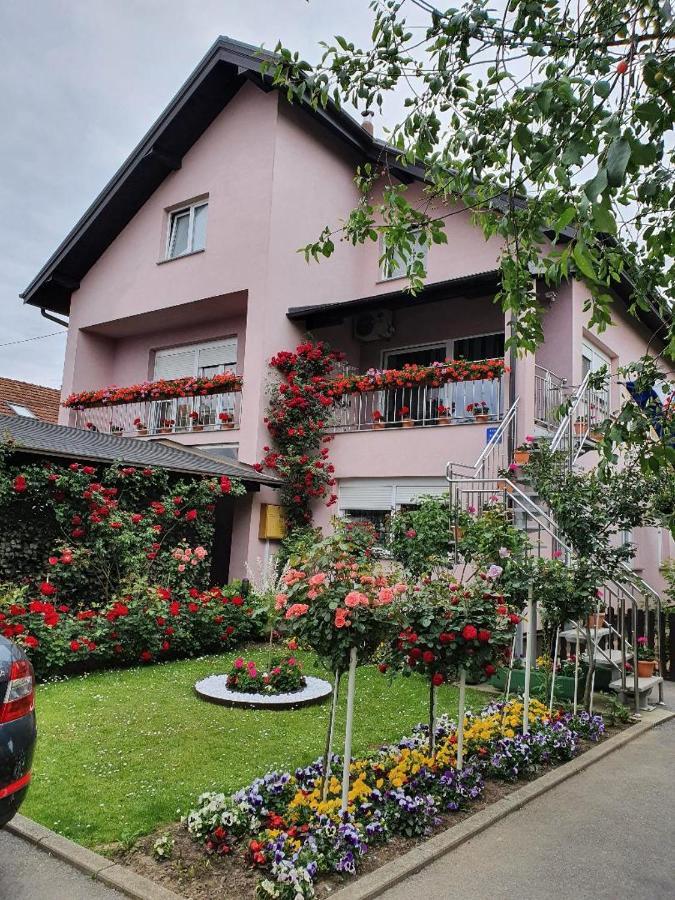 Apartman Vesna Bjelovar Eksteriør bilde